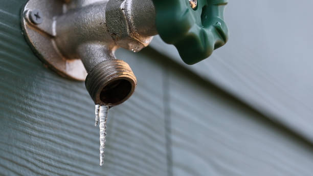 Best Plumbing Inspection Services  in Murrells Inlet, SC